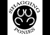 Shagging Ponies (2011)