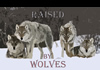 Raised by Wolves (2016)