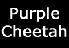 Purple Cheetah (2014)