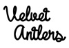 Velvet Antlers