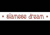 Siamese Dream (2006)