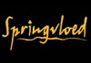 Springvloed (2006)