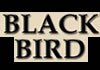 Blackbird (2006)