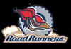 The Roadrunners (2006)