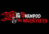 Big Shampoo & The Hairstylers (2007)