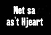 Net sa as't Hjeart (2008)